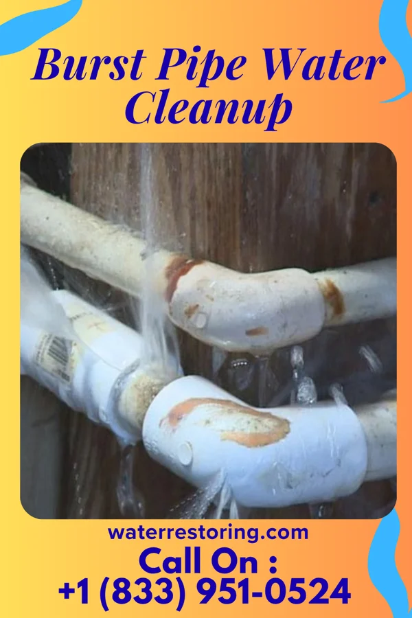 Burst Pipe Water Cleanup in Altamont, MO